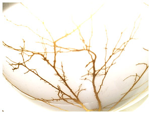 Ispiration küchenutensilien